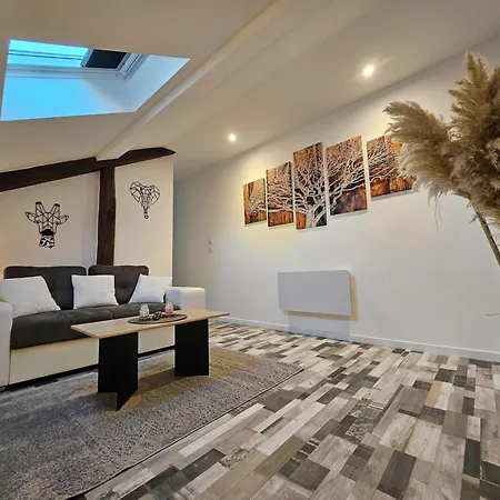 Joli Appartement Mansarde Decize Exterior photo